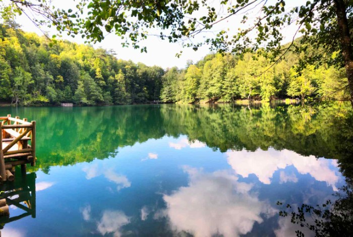 YEDİGÖLLERDE KİTAP KEYFİ